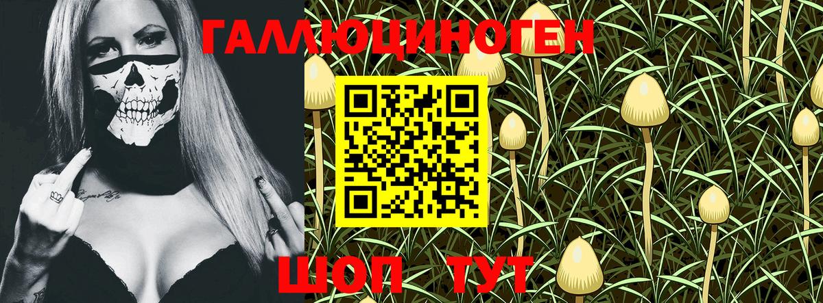 Галлюциногенные грибы Magic Shrooms  где найти   Гулькевичи  Вход с VPN 